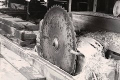 Saw-from-Sawmill